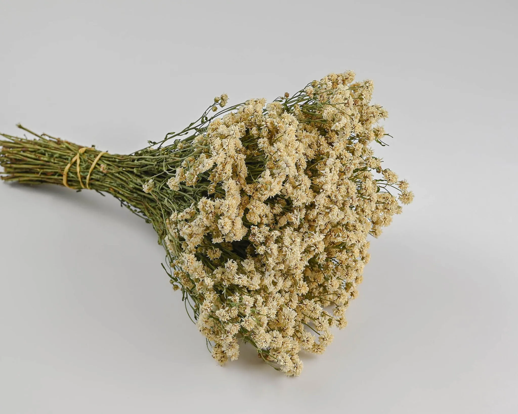 Dried Pearly Everlasting Bunch