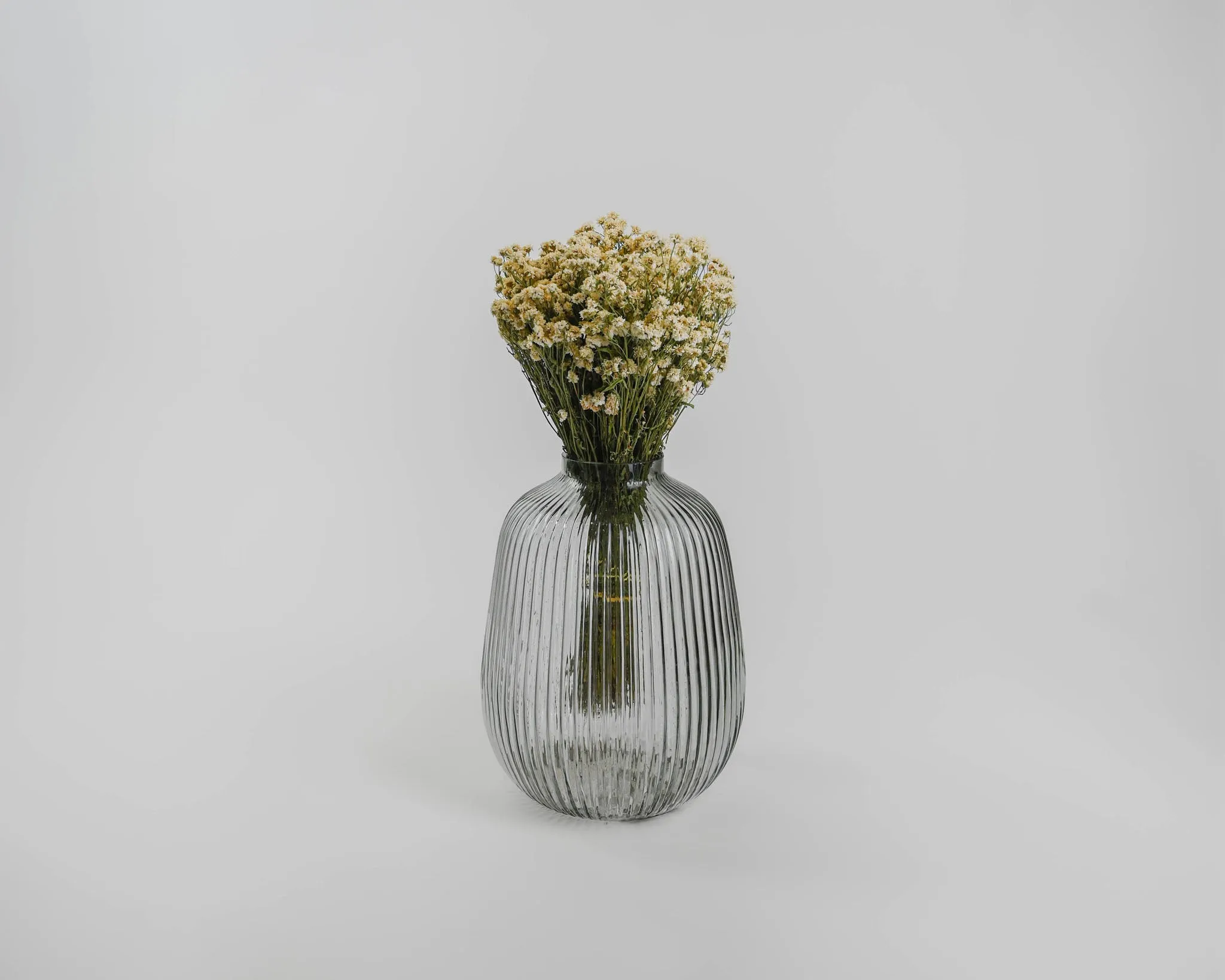 Dried Pearly Everlasting Bunch