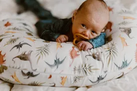 Nursing Pillow Cover - Dinos