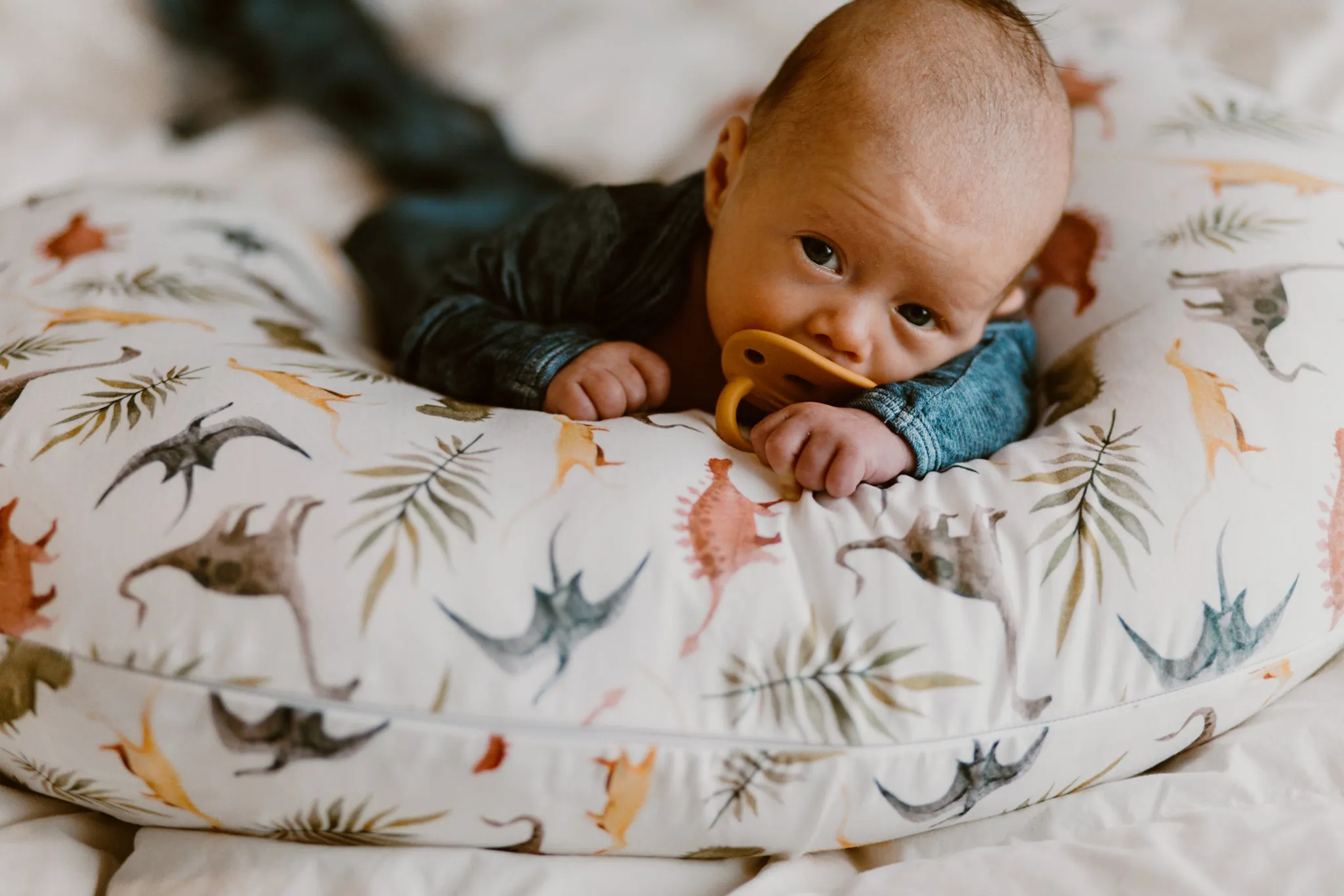 Nursing Pillow Cover - Dinos